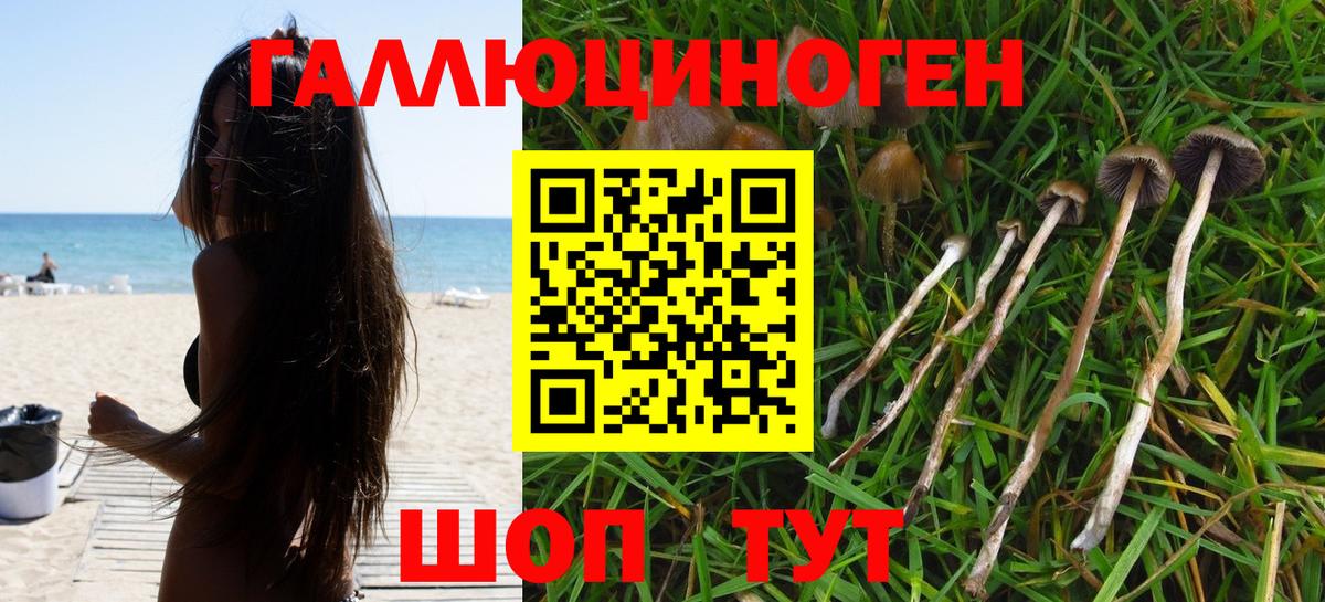Мирный  Псилоцибиновые грибы Psilocybine cubensis  как найти закладки  Псилоцибиновые грибы MAGIC MUSHROOMS  Вход с VPN 