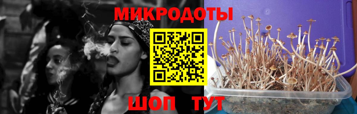 Псилоцибиновые грибы прущие грибы Мирный